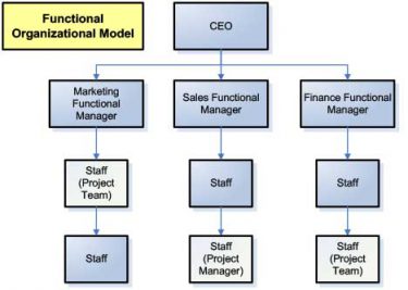 Advantages of different org structures on marketing project management