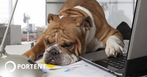 How to Outsource Your Social Media